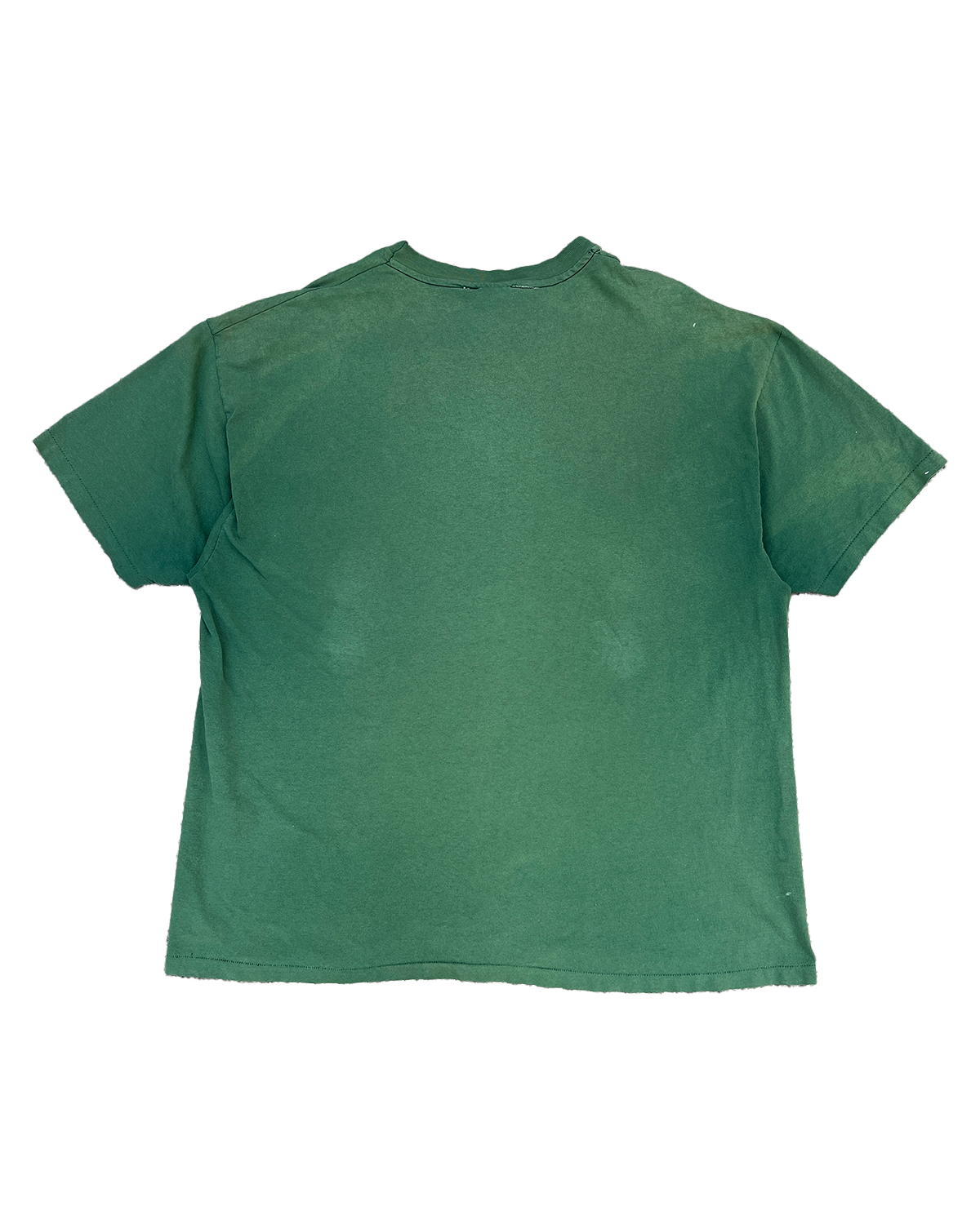 Disneylandia Memory Tee 1/1